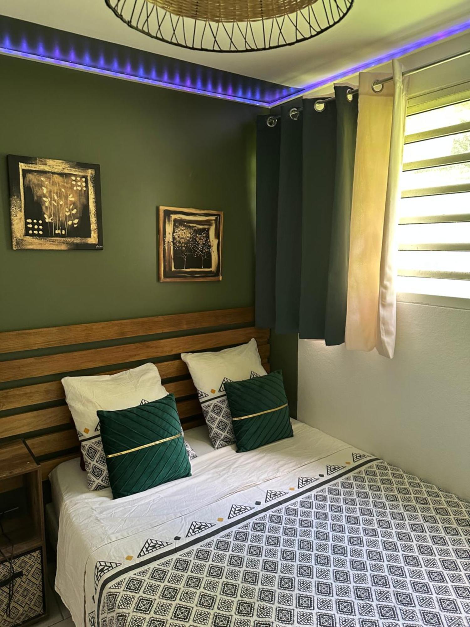 Corossol Apartment ฟอร์-เดอ-ฟร็องส์ ภายนอก รูปภาพ
